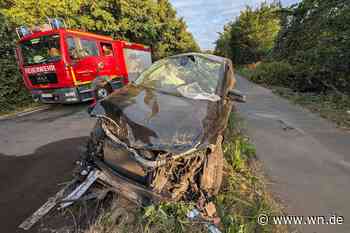 Auto prallt gegen Bäume – Insassin schwer verletzt