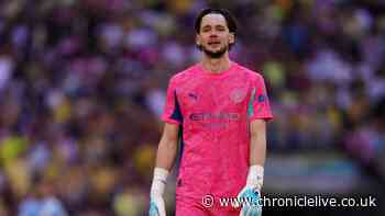 Newcastle United signing would 'tick all the boxes' - but there is a catch