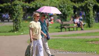 Council review into how city coped in extreme heat