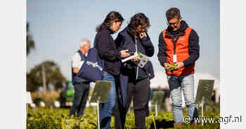 Syngenta presenteert nieuwe resistentie tegen knolvoet tijdens Fields of Innovation