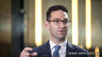 Former Labor MP accuses Josh Burns of acting as ‘human shield for Penny Wong’
