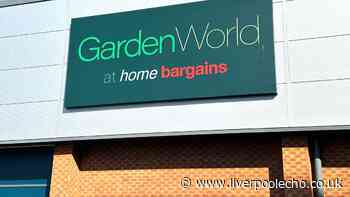 Add 'touch of magic' to gardens with 99p Home Bargains item