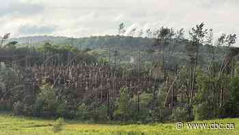 Possible tornado rips through Harrington Que., in the Laurentians