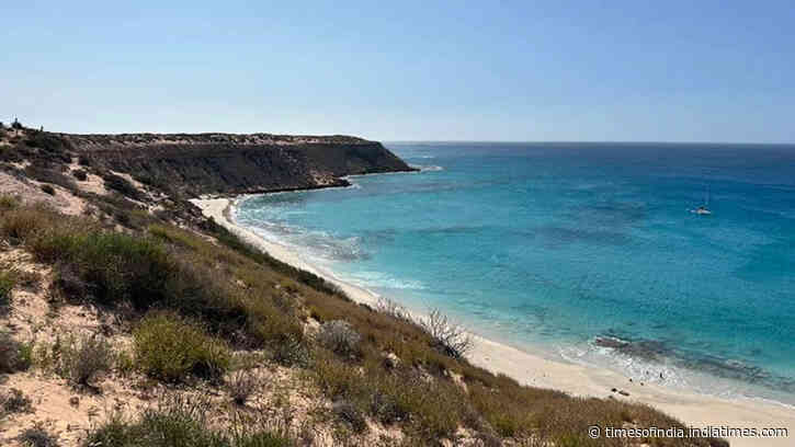 Scientists are introducing two truffle-eating marsupials to rebuild this Australian island destroyed by feral cats