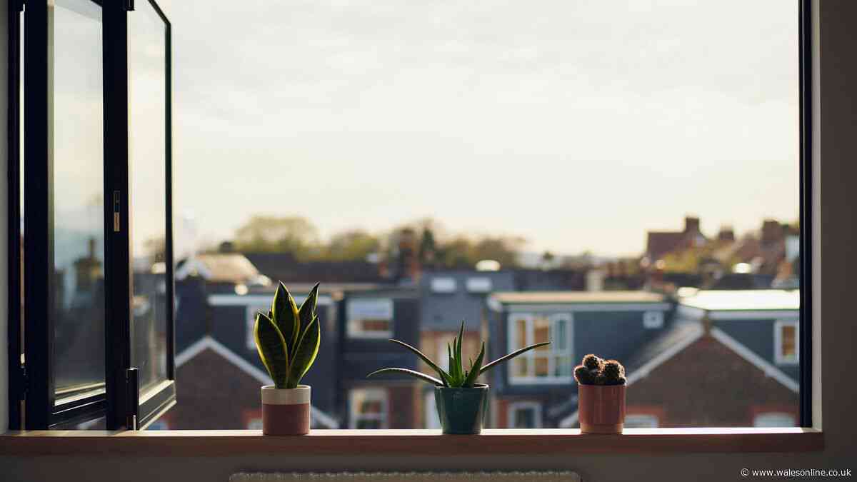 Rooms could stay cooler on hot nights with this 1 kitchen item on your windowsill