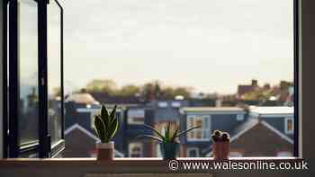 Rooms could stay cooler on hot nights with this 1 kitchen item on your windowsill
