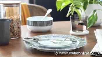 Habitat 'tasteful' 12-piece dinner set now £3 down from £29 with deal stack
