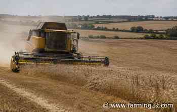 Farmers battle dry spell as crop yields come under pressure