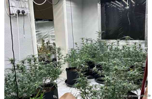 POL-W: W Gemeinsame Presseerklärung von Staatsanwaltschaft und Polizei Wuppertal - Cannabisplantage an der Hahnerberger Straße