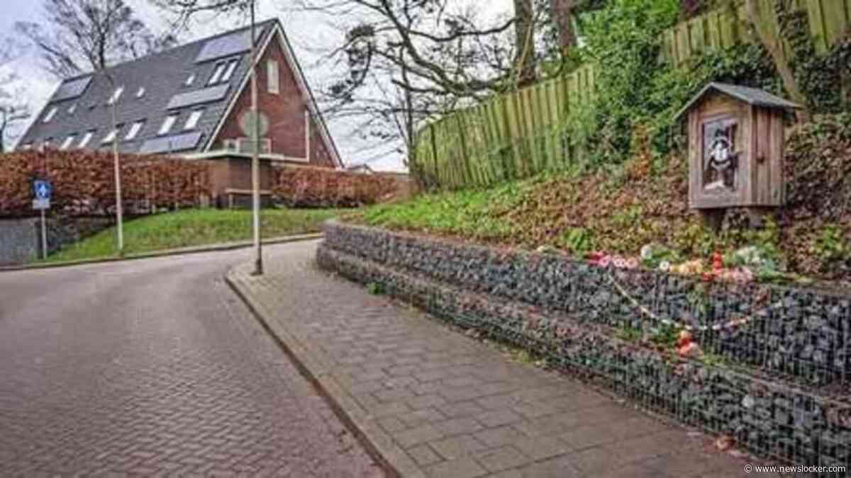Acht jaar cel en tbs voor doodsteken vrouw (76) Den Dolder