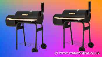School holidays price plunge on family-sized barbecue and smoker now under £75