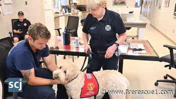 Therapy dog brings comfort and stress relief to Iowa fire, EMS crews