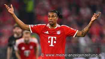 Bayern-Star Olise nach WM-Show teuerster Bundesliga-Spieler jemals
