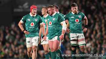 All Black publicly calls out Ireland 'whingers' as complaint and accusation made