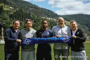 Mannheim – SV Waldhof Mannheim verpflichtet Flügelspieler Leroy-Jacques Mickels