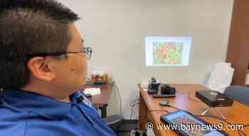 New web-based tool could help strawberry farmers with yield predictions
