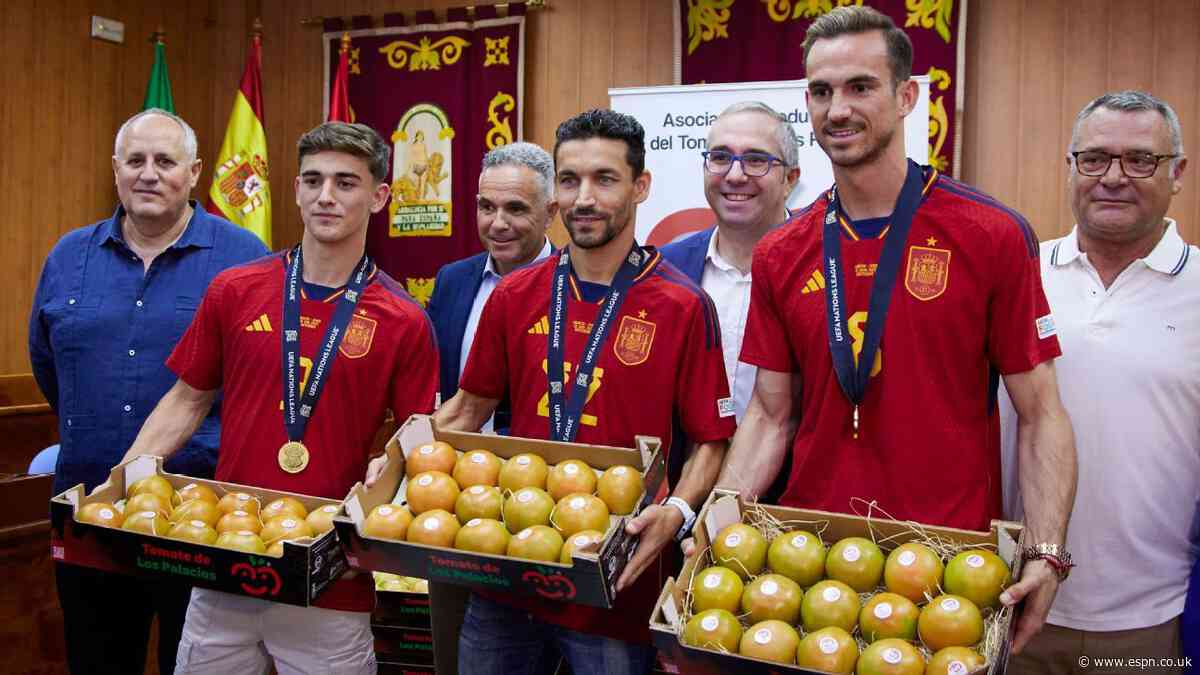 Spain stars awarded tomatoes for World Cup win