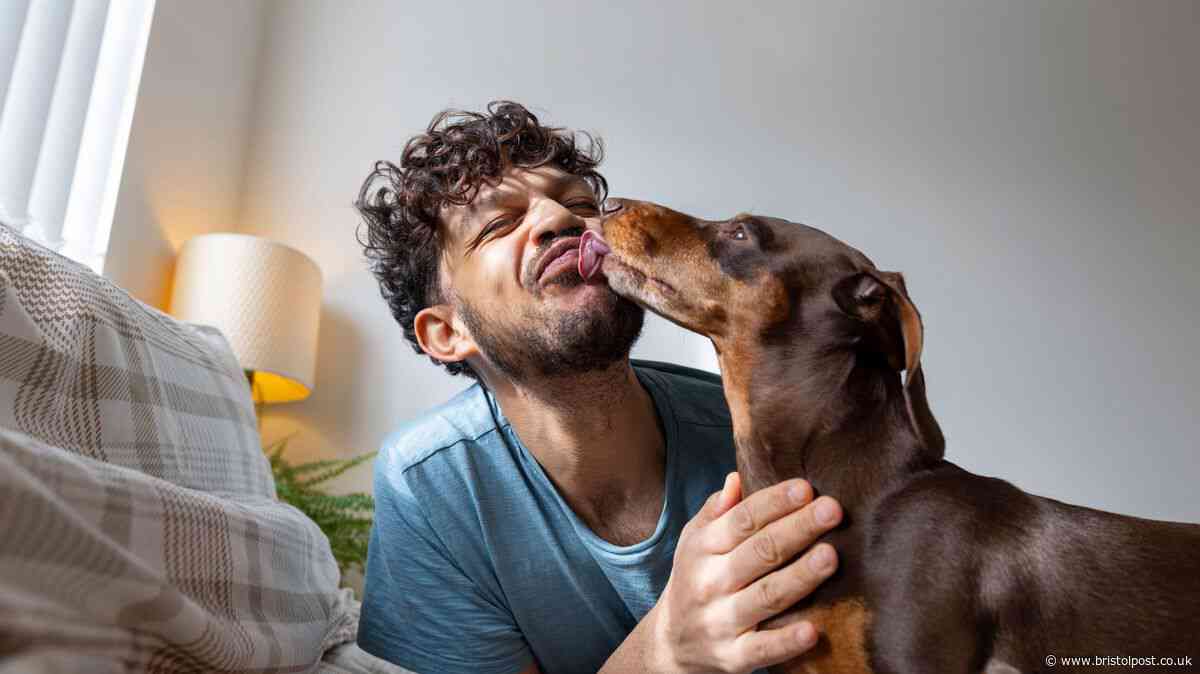 Pet expert shares verdict on people who sleep with dog in bed