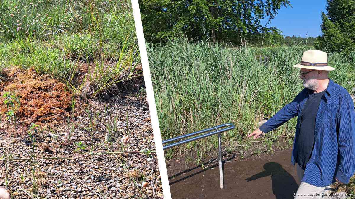 Naturschutzgebiet mitten im Allgäu in Gefahr: „So schlimm war es noch nie“