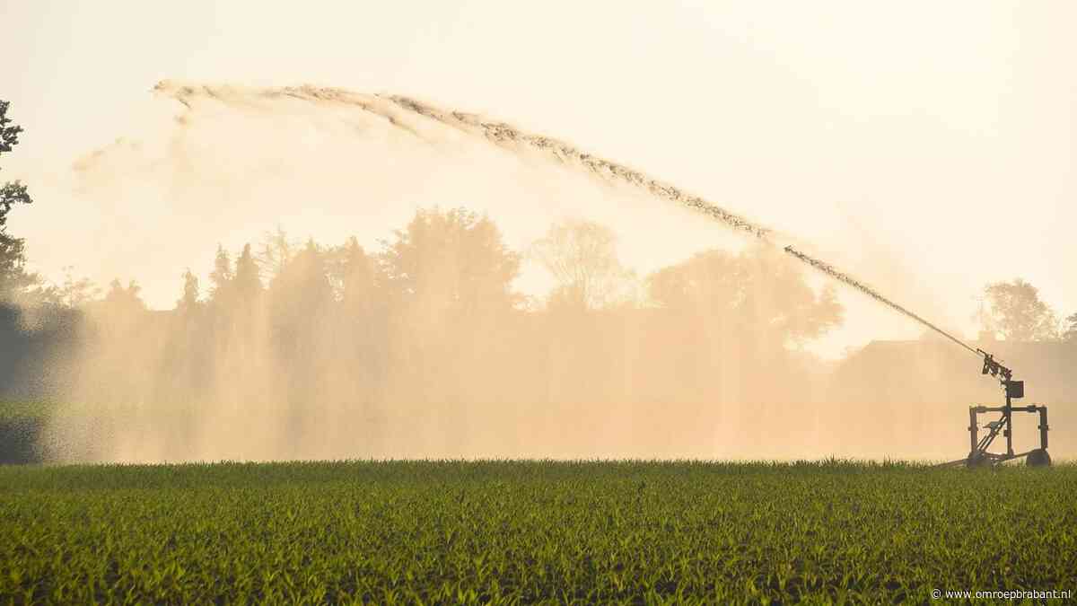 Waterschap scherpt maatregelen aan: ook telers onder waterverbod