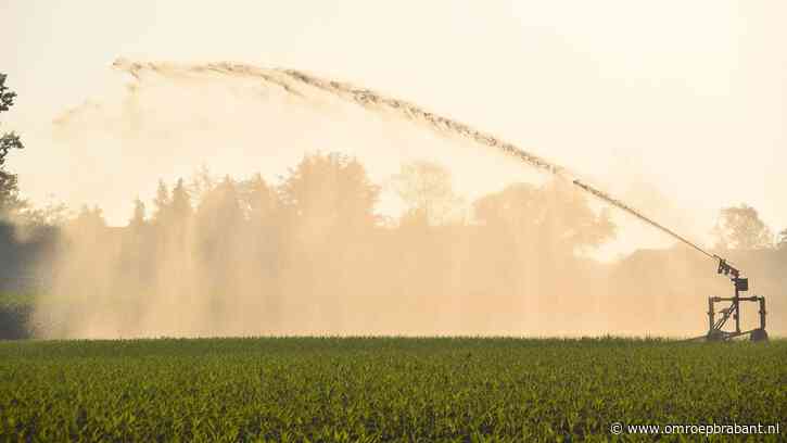 Waterschap scherpt maatregelen aan: ook telers onder waterverbod