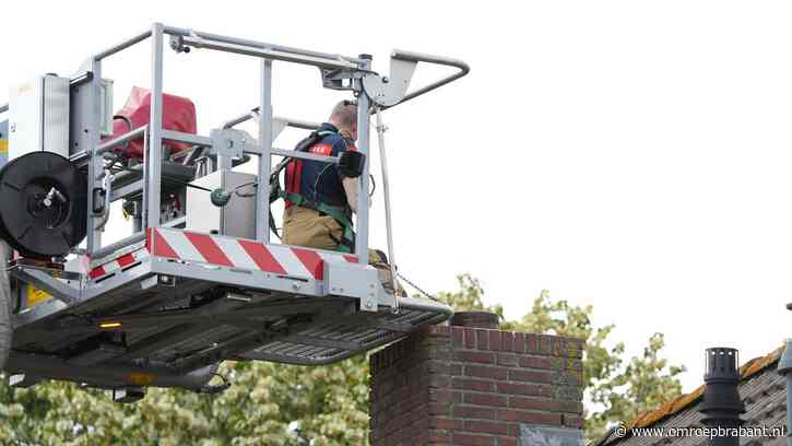 Slapeloze nachten door vogel die al vier dagen vastzit in schoorsteen
