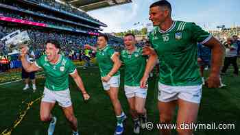 PHILIP LANIGAN: Calling the All-Ireland hurling final 'poor' is just superficial, lazy commentary...on a day Argentina disgraced themselves before the entire world, Limerick served up a sporting masterclass