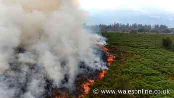 Blaenavon wildfire will burn for 'several days' as firefighters battle blaze