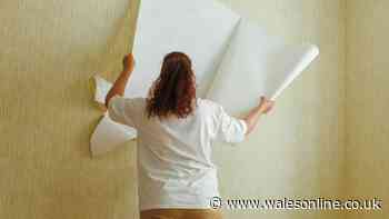 Wallpaper falls away with no steaming when you soak with £1.60 item