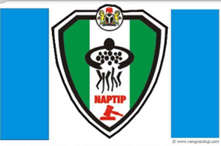 Over 300,000 people trafficked into Southeast Asia scam hubs yearly, generate $64bn — NAPTIP
