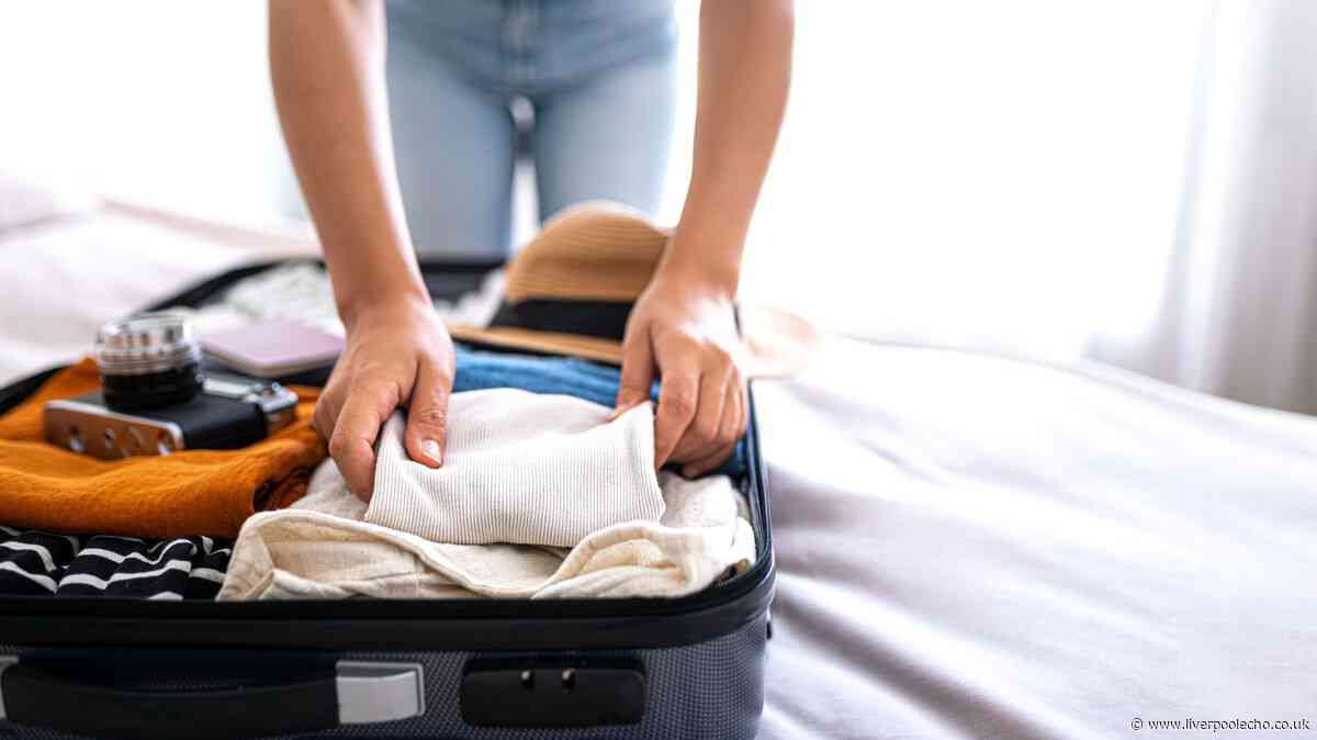 Travel warning issued for Brits over common items that could be 'safety risk' on flights