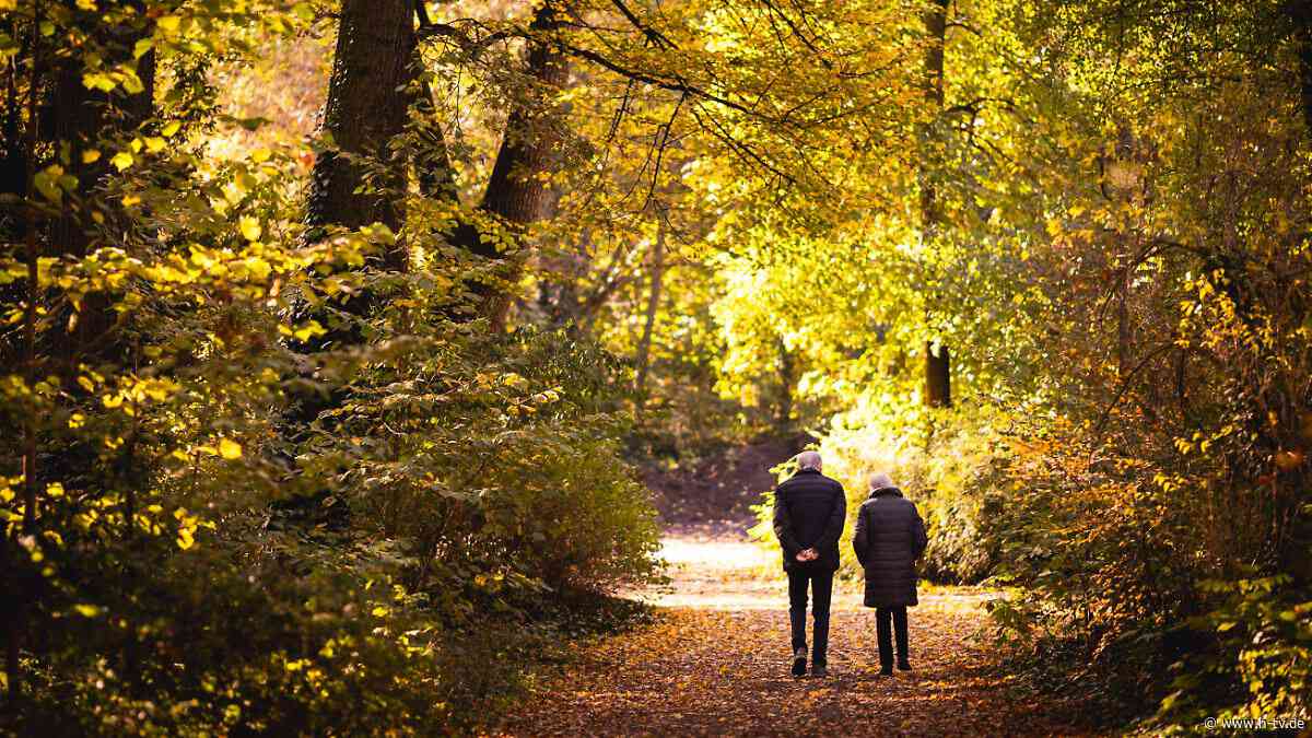 Geteilter Lebensstil: Demenz des Partners erhöht laut Studie eigenes Risiko