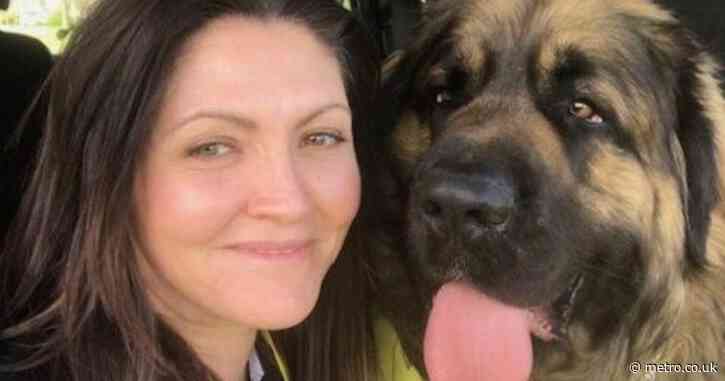 Family dog died when pet sitter left him unattended on summer’s day