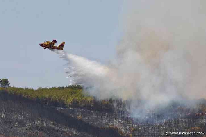 Canadair, Dash, hélicoptères, camions : quels sont les moyens dont disposent les pompiers français pour lutter contre les incendies ?