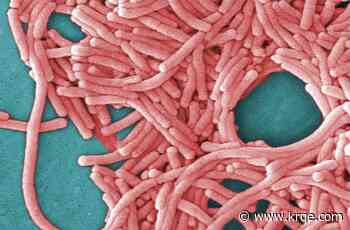 Fifth death reported in NYC Legionnaires' outbreak
