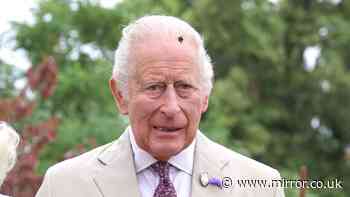 King Charles pestered by troublesome fly as he and Camilla begin to wind down for summer break