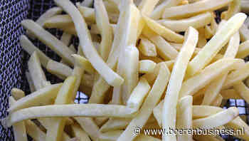 Aardappelverwerking herstelt in junimaand