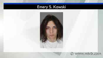21-year-old gets probation for stabbing dog to death in Tonawanda