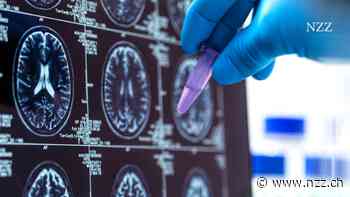 Die Präzisionsmedizin ist angetreten, um unser Verständnis von Krankheit und Gesundheit umkrempeln. Was ist aus ihren Versprechungen geworden?