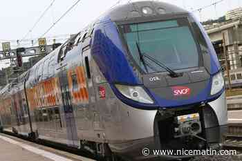 Un incendie provoque l’arrêt des trains entre Menton et Vintimille ce mercredi