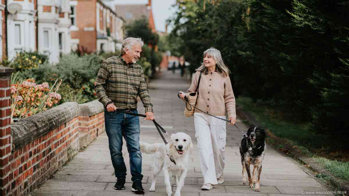 ITV vet urges dog owners to use 60p hack to keep pets cool during heatwaves