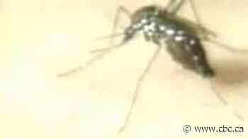 West Nile Virus is in Windsor-Essex: What it is and how you can protect yourself