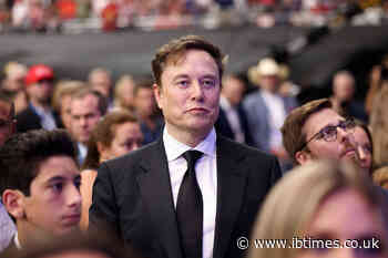 'Posh Tommy Robinson': Elon Musk Slammed Over 'Anti-White' Attack on Christopher Nolan Movie