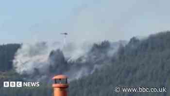 Disposable BBQ was likely cause of fire in forest