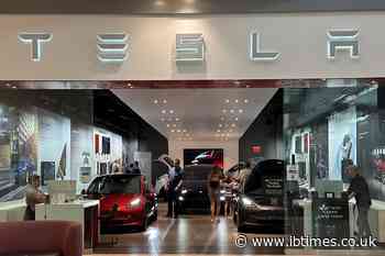 'This Company Moves With Elon's Tweets': Kevin O'Leary Blasts Massive Tesla Stock Volatility Risk