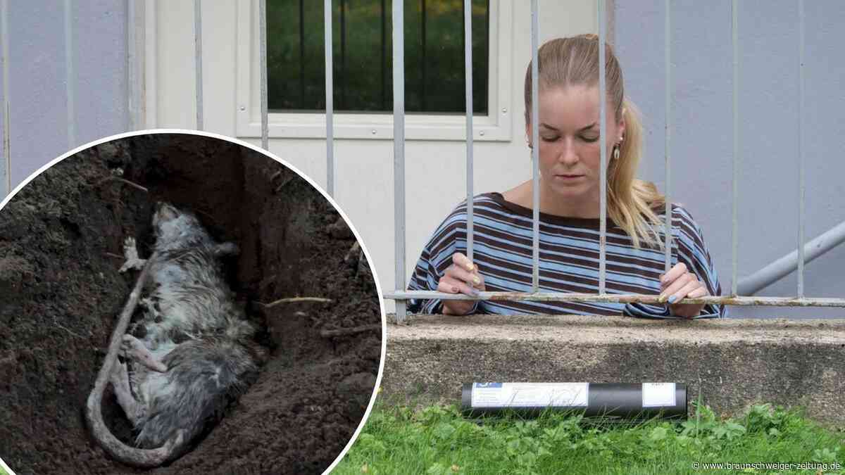 „Qualvoller Tod“: Mieterin startet Protest gegen Rattengift in Braunschweig
