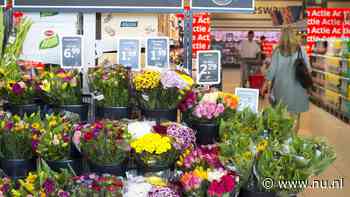 Lidl verkoopt deze zomer als eerste supermarkt biologische bloemen