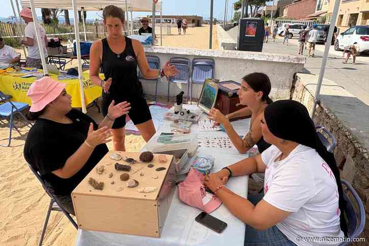 « Beaucoup pensent que c’est sale… » : malgré les campagnes de sensibilisation, la présence de posidonies sur nos plages a du mal à passer auprès des touristes… et des locaux