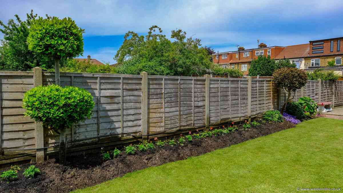 Homeowner frustrated as neighbour demands they replace shared garden fence