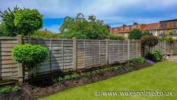 Homeowner frustrated as neighbour demands they replace shared garden fence